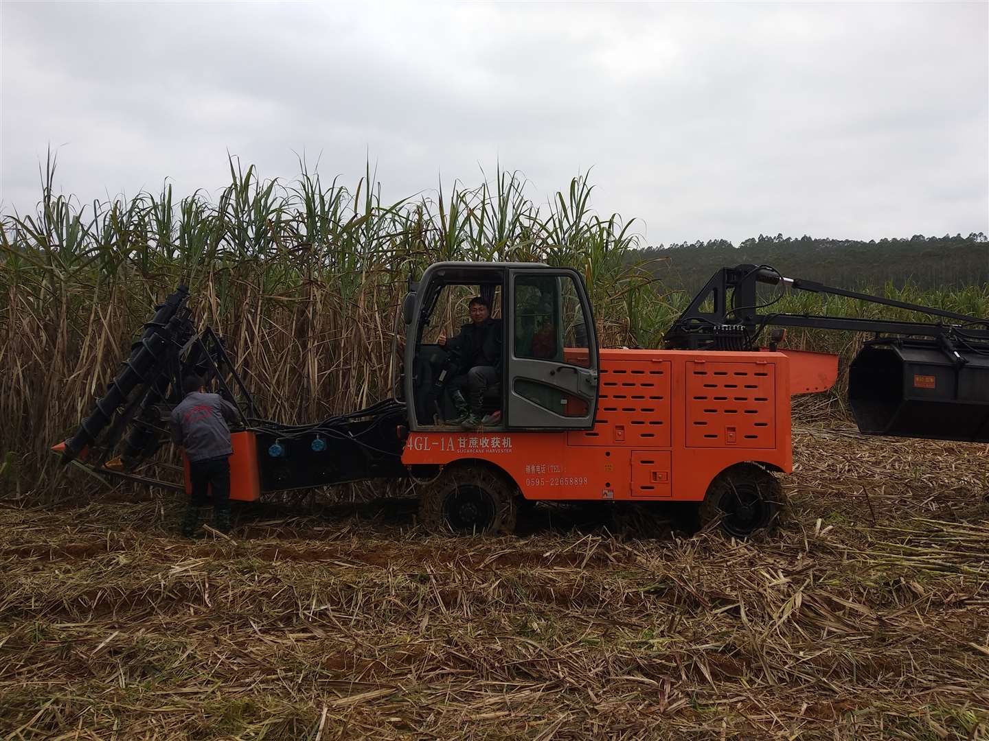 JingGong 4GL-1A sugarcane harvester in Philippines
