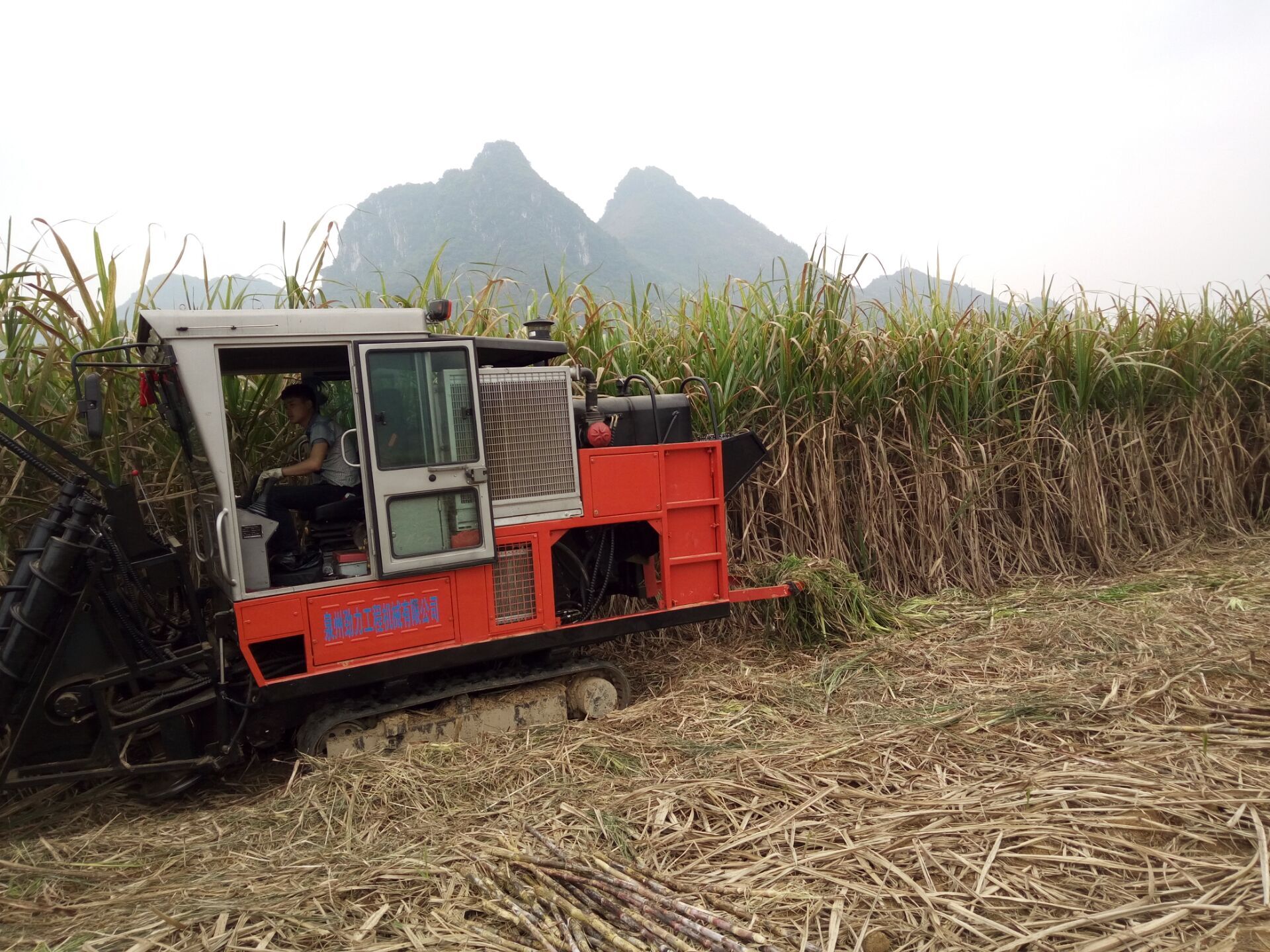 JingGong 4GL-1 canne à sucre moissonneuse reçu des éloges de la Philippine clients
